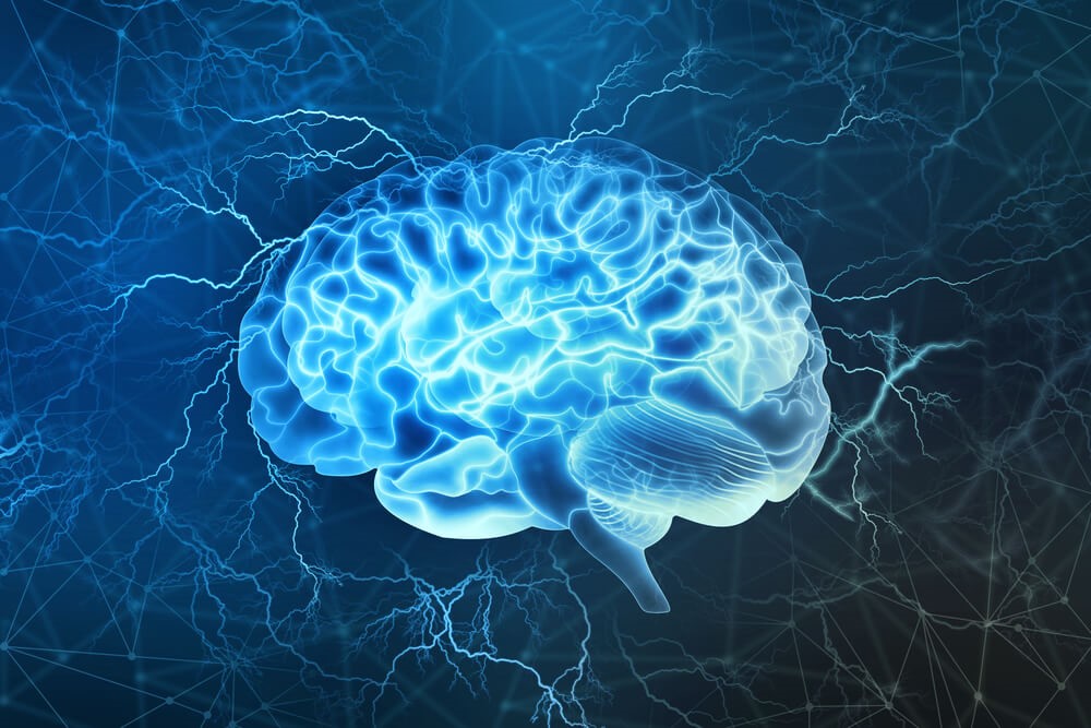 Áreas estudadas em neurociências
